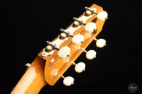 Roberto Pozzi - 2015 8-string