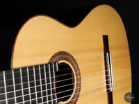 Roberto Pozzi - 2015 8-string