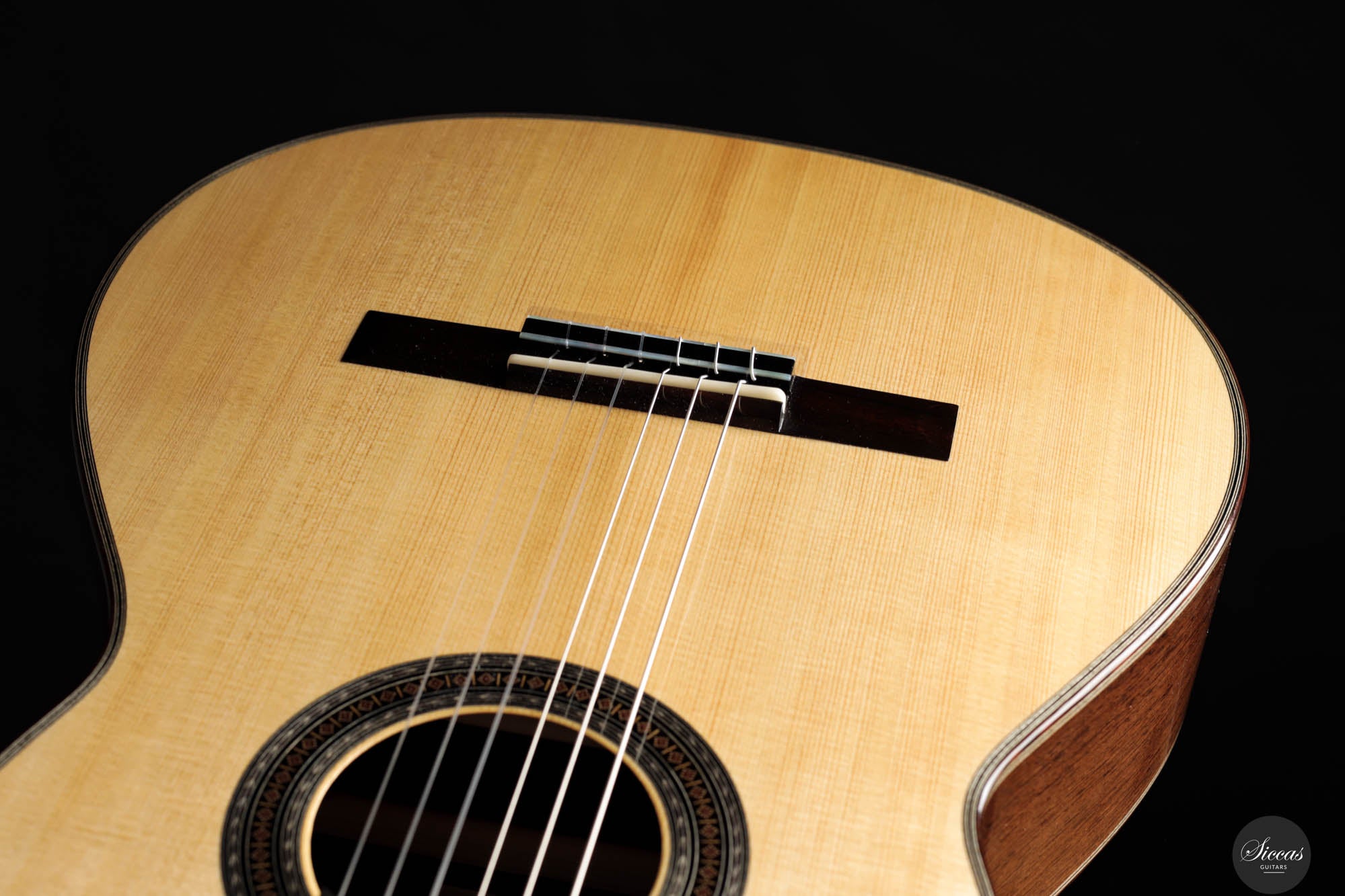 Roberto de Miranda - 2024 REG Limited Edition 2024 – Siccas Guitars