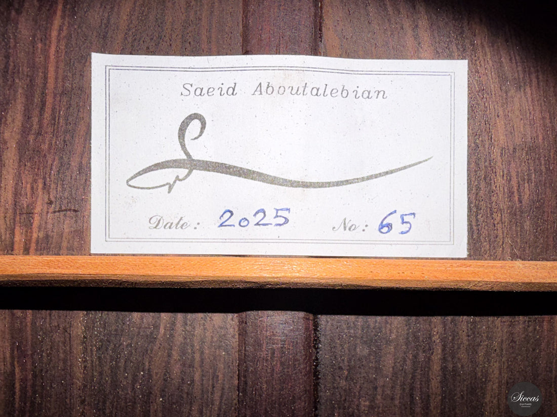 Saeid Aboutalebian - 2025 No. 65