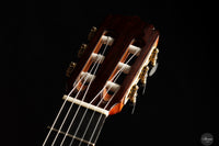 Saeid Aboutalebian - 2025 No. 65