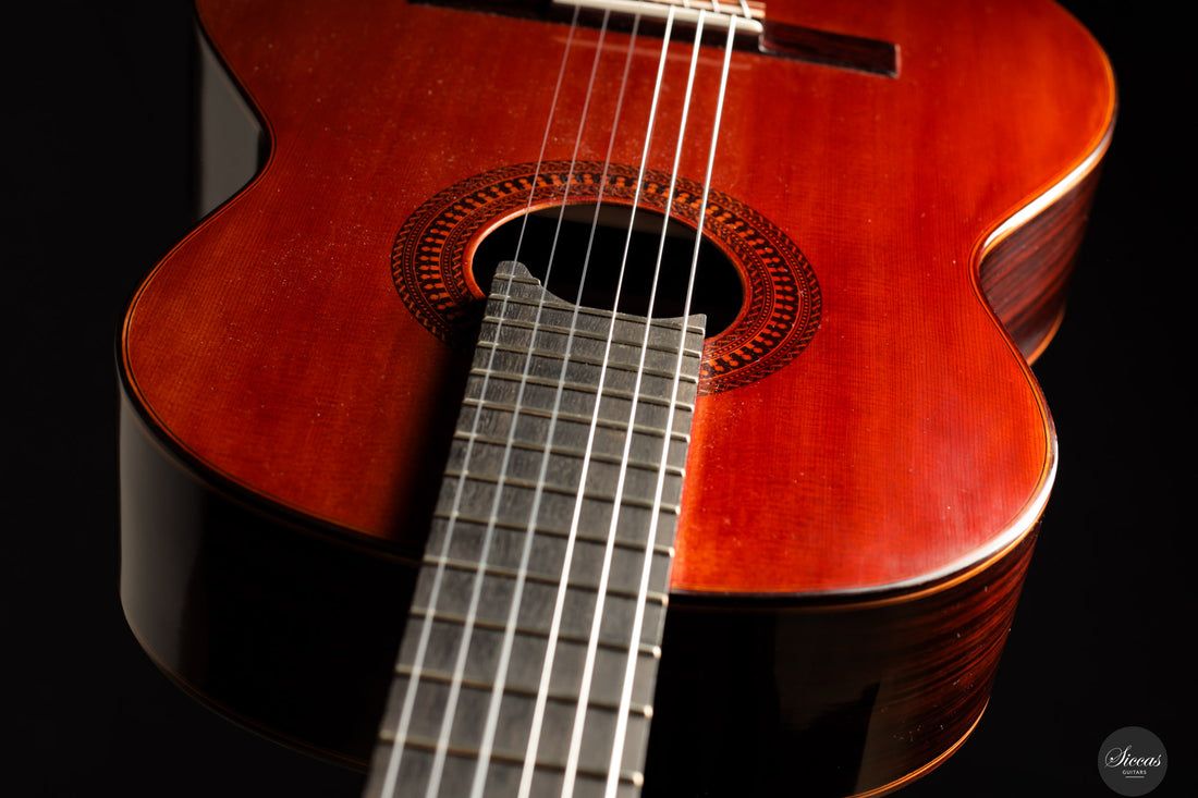 Saeid Aboutalebian - 2025 No. 65