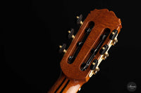 Sakurai Kohno - 2023 Professional J Spruce 64 cm