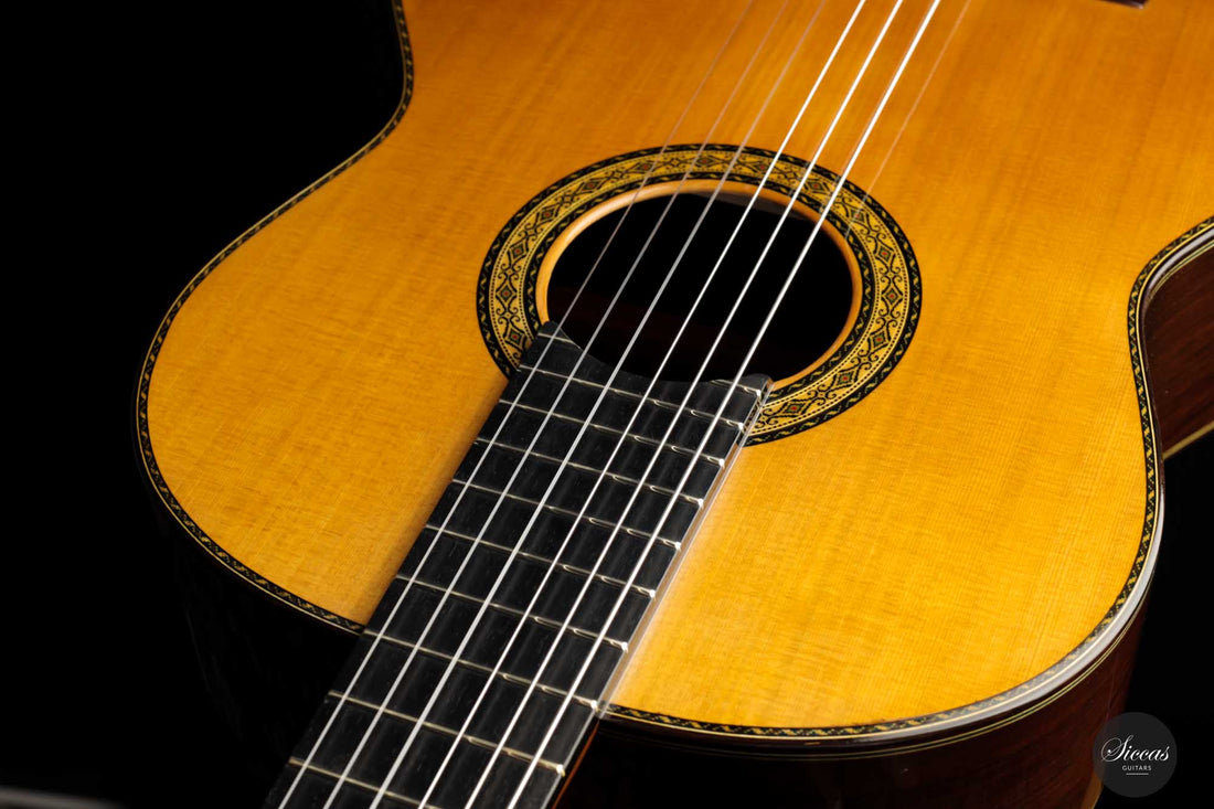 Sakurai Kohno - 2022 Special Cedar