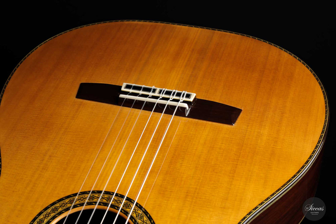 Sakurai Kohno - 2022 Special Cedar