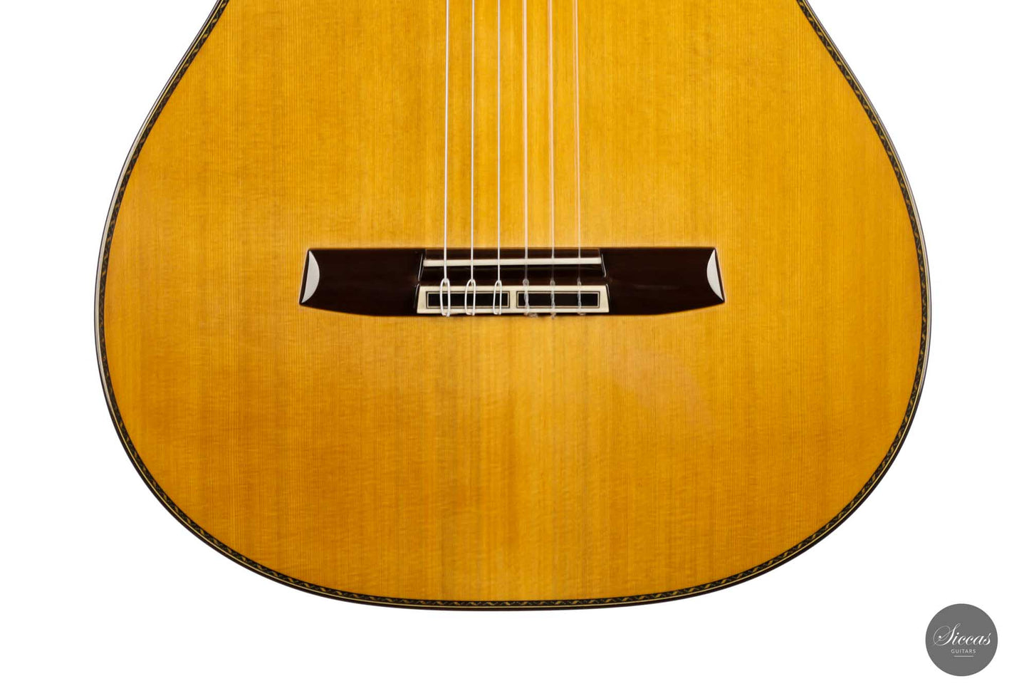 Sakurai Kohno - 2022 Special Cedar