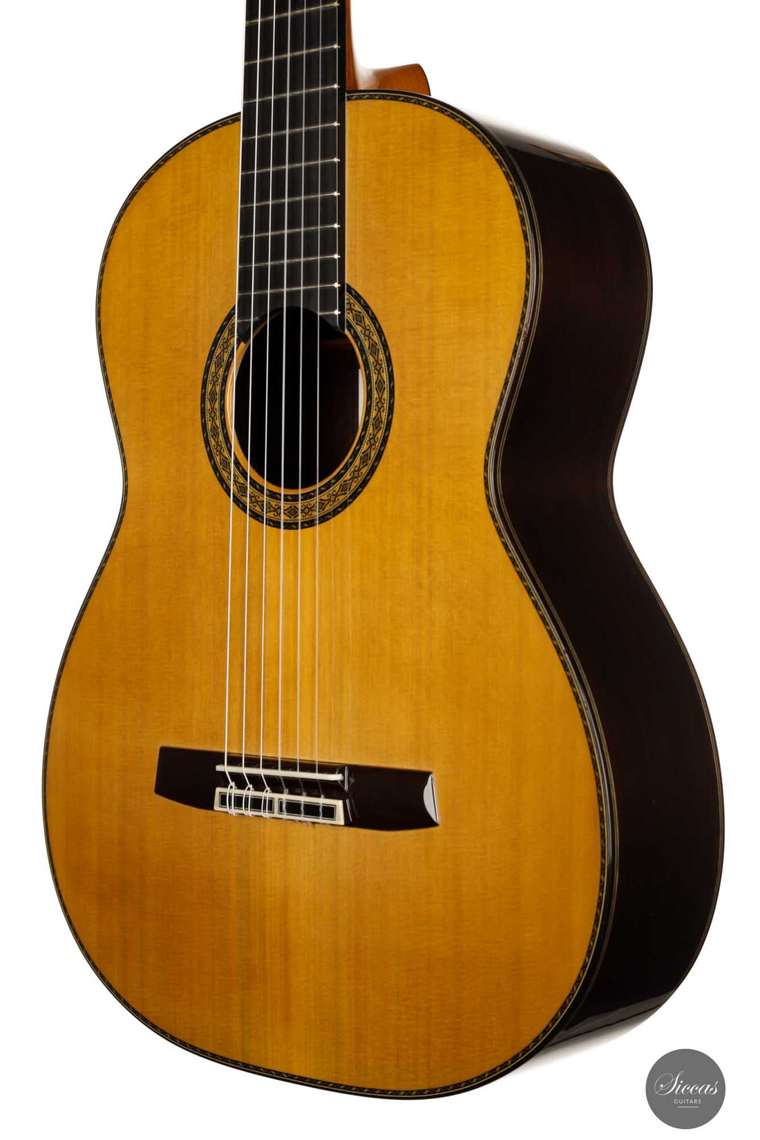 Sakurai Kohno - 2022 Special Cedar