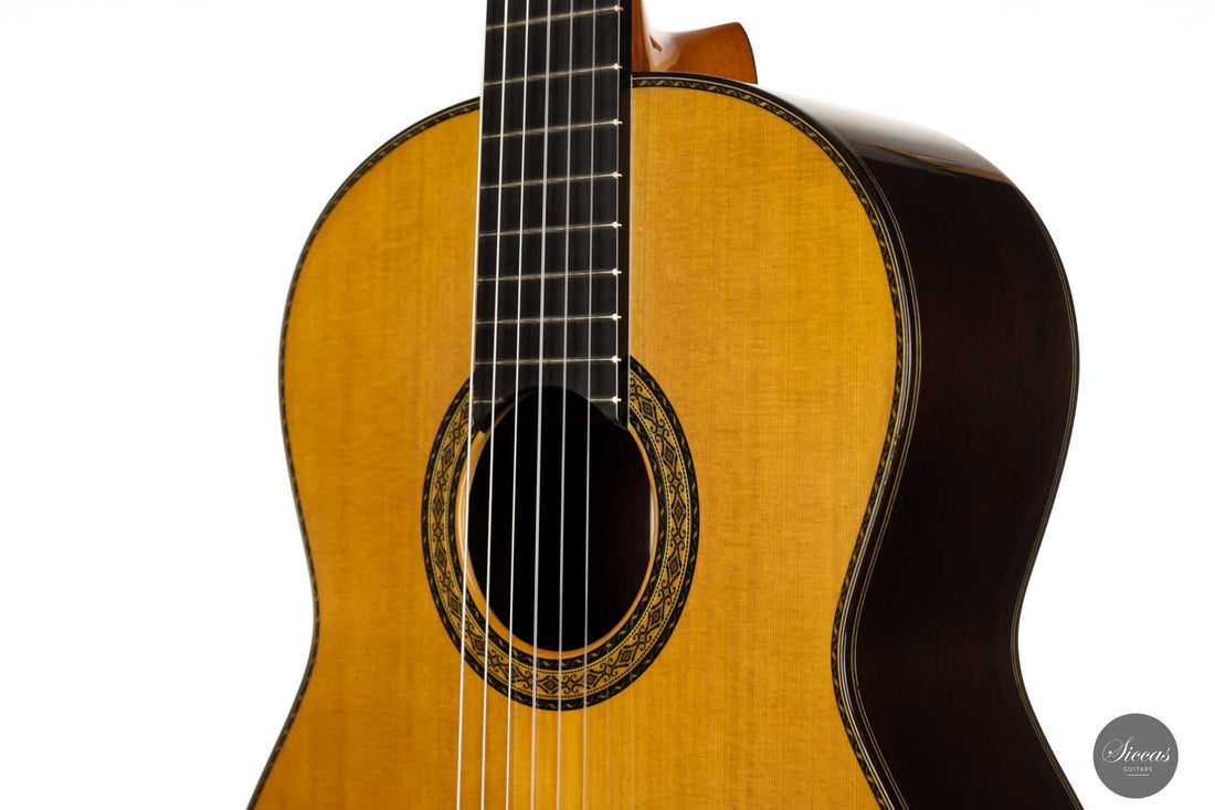 Sakurai Kohno - 2022 Special Cedar