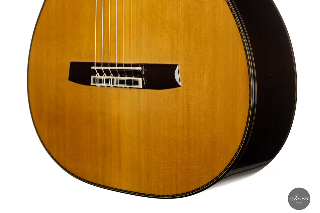 Sakurai Kohno - 2022 Special Cedar