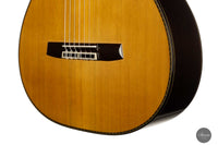 Sakurai Kohno - 2022 Special Cedar