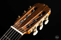 Sakurai Kohno - 2022 Special Cedar