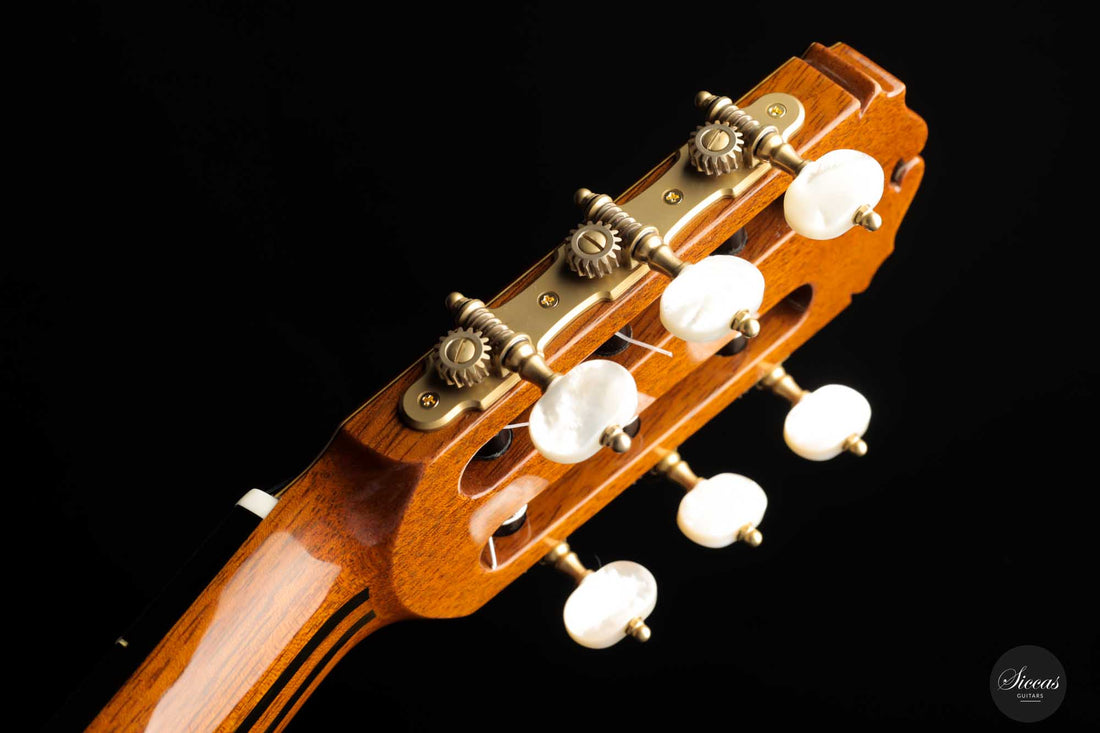 Sakurai Kohno - 2022 Special Cedar