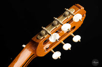 Sakurai Kohno - 2022 Special Cedar