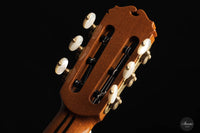Sakurai Kohno – 2023 Special Cedar 64 cm
