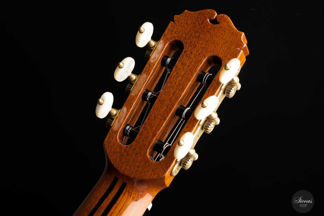 Sakurai Kohno - 2022 Special Cedar