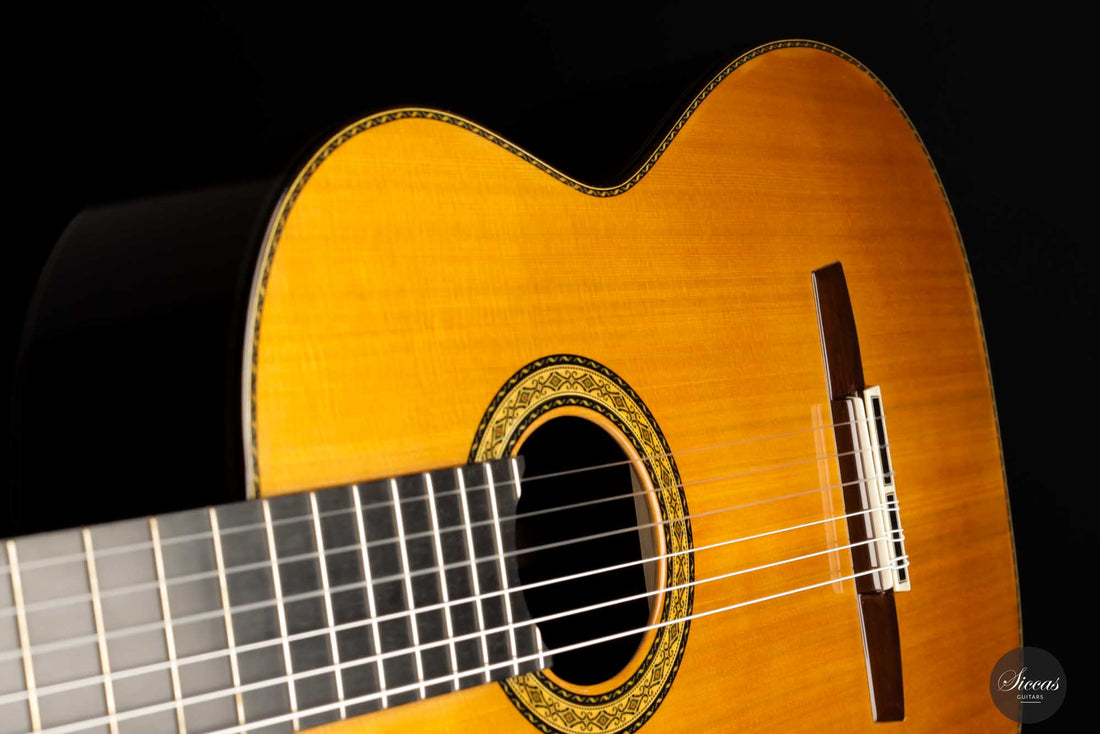 Sakurai Kohno - 2022 Special Cedar