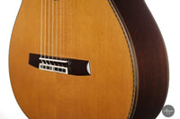 Sakurai Kohno - 2021 Special Cedar 64 cm