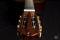 Sakurai Kohno - 2021 Special Cedar 64 cm