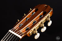 Sakurai Kohno - 2021 Special Cedar 64 cm