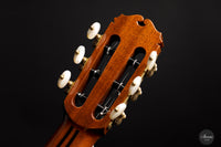 Sakurai Kohno - 2021 Special Cedar 64 cm