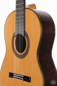 Siccas Luthiers - Halo Traditional Cedar