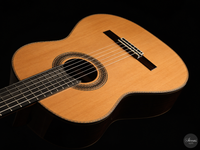 Siccas Luthiers - Halo Traditional Cedar