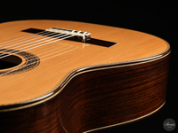 Siccas Luthiers - Halo Traditional Cedar