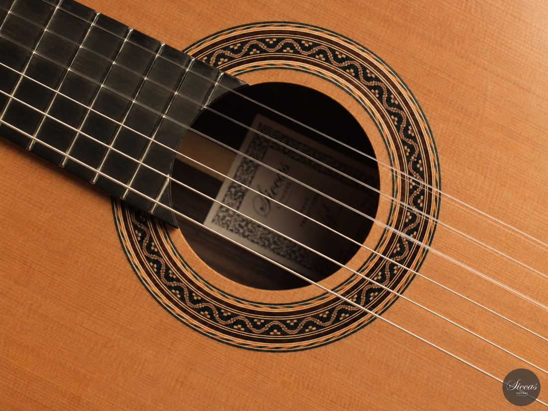Siccas Luthiers - Halo Traditional Cedar 63 cm