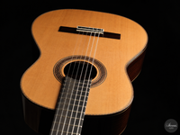 Siccas Luthiers - Halo Traditional Cedar