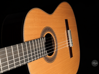 Siccas Luthiers - Halo Traditional Cedar