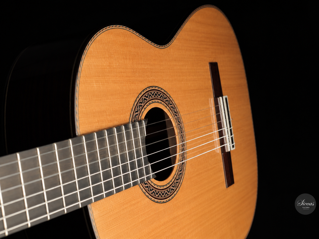 Siccas Luthiers - Halo Traditional Cedar - Front view