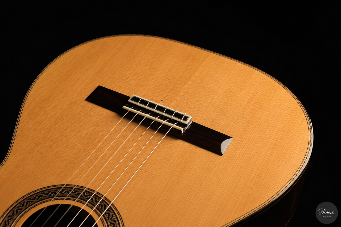 Siccas Luthiers - Halo Traditional Cedar - Front view