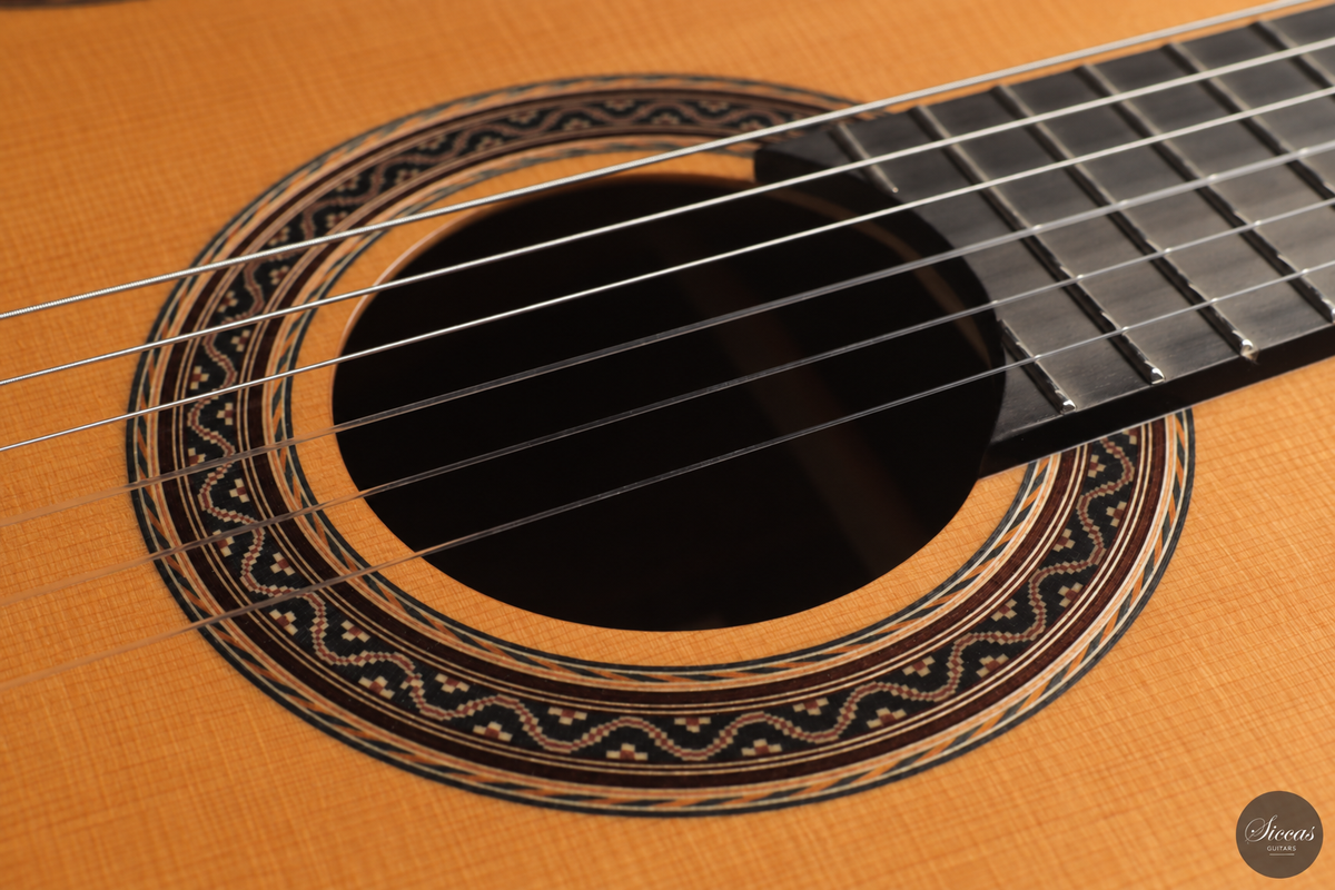 Siccas Luthiers - Halo Traditional Cedar