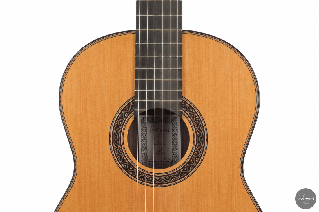 Siccas Luthiers - Halo Traditional Cedar - Front view