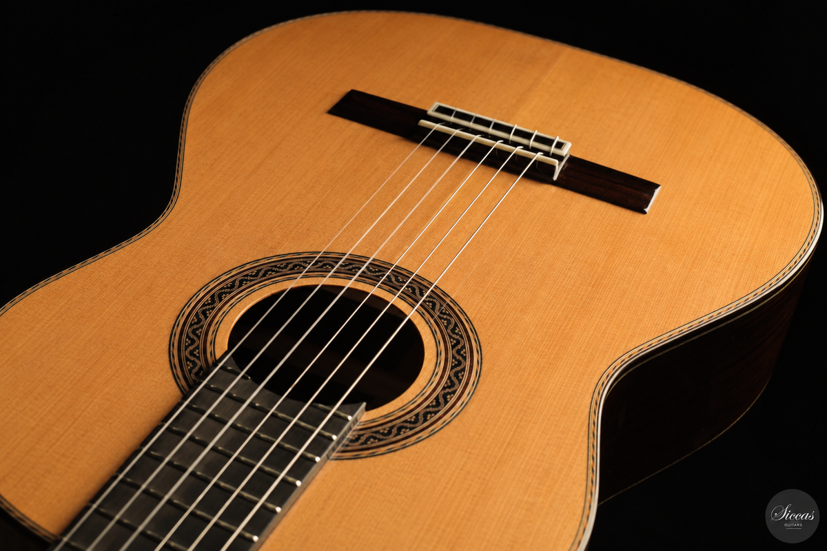 Siccas Luthiers - Halo Traditional Cedar
