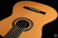 Siccas Luthiers - Halo Traditional Cedar 63 cm