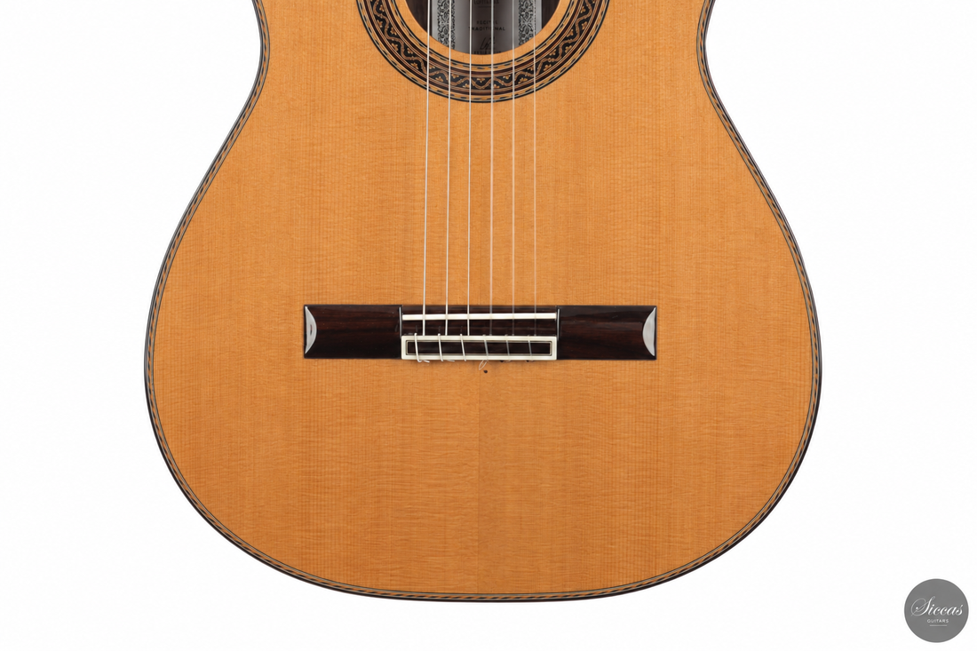 Siccas Luthiers - Halo Traditional Cedar
