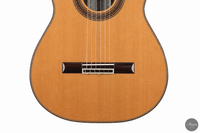 Siccas Luthiers - Halo Traditional Cedar - Front view thumbnail