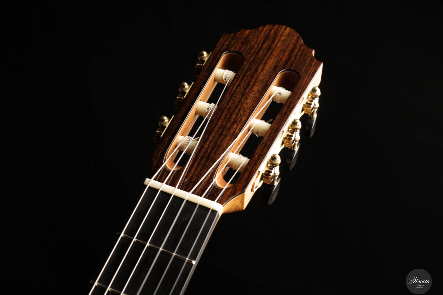 Silvia Zanchi - 2025 - REG Limited Edition Doubletop