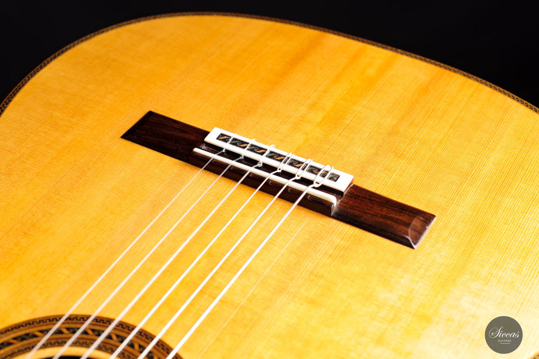 Stefan Nitschke - 2021 Santos Hernandez "La Salvatora"