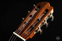 Stefanos Poligenis - 2019 Lattice