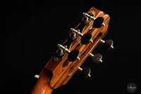 Stefanos Poligenis - 2019 Lattice