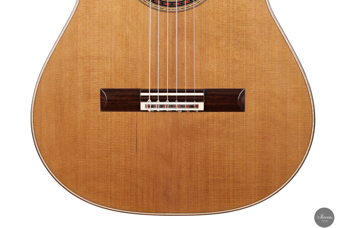 Stephen Eden - 2023 "Friederich" No. 204