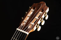 Stephen Eden - 2023 "Friederich" No. 204