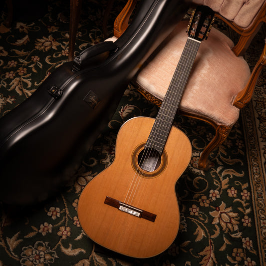 Siccas Luthiers - Synthesis Doubletop Cedar
