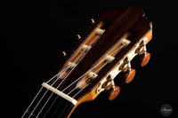 Thomas Dauge - 2022 "20th Anniversary" No. 155