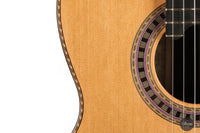 Wolfgang Jellinghaus - "Signature Doubletop" Cedar Lefthand