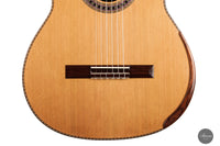 Wolfgang Jellinghaus - "Signature Doubletop" Cedar Lefthand