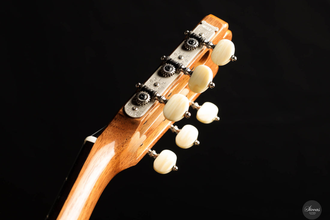 Wolfgang Jellinghaus - Antonio de Torres FE 17 A Indian Rosewood 63 cm