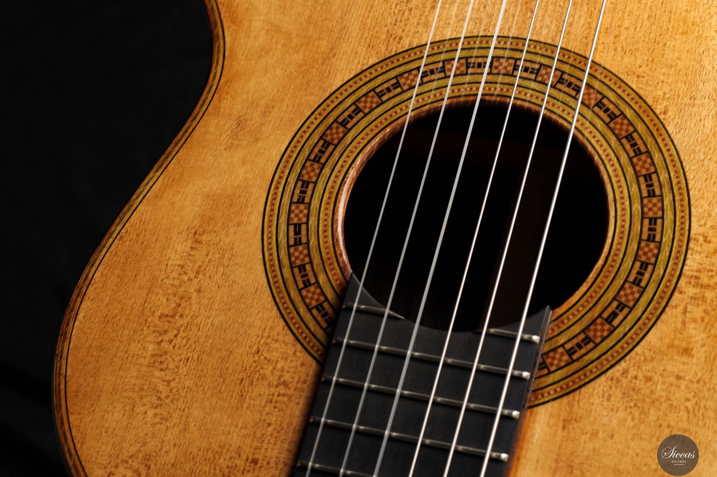 Wolfgang Jellinghaus - Antonio de Torres FE 17 A Indian Rosewood 63 cm